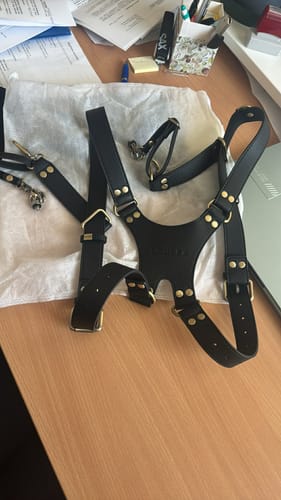 Loulex Double-Strap popruh na fotoaparát